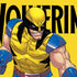 Marvel X-Men The Wolverine Nintendo 2DS XL (2017) Skin